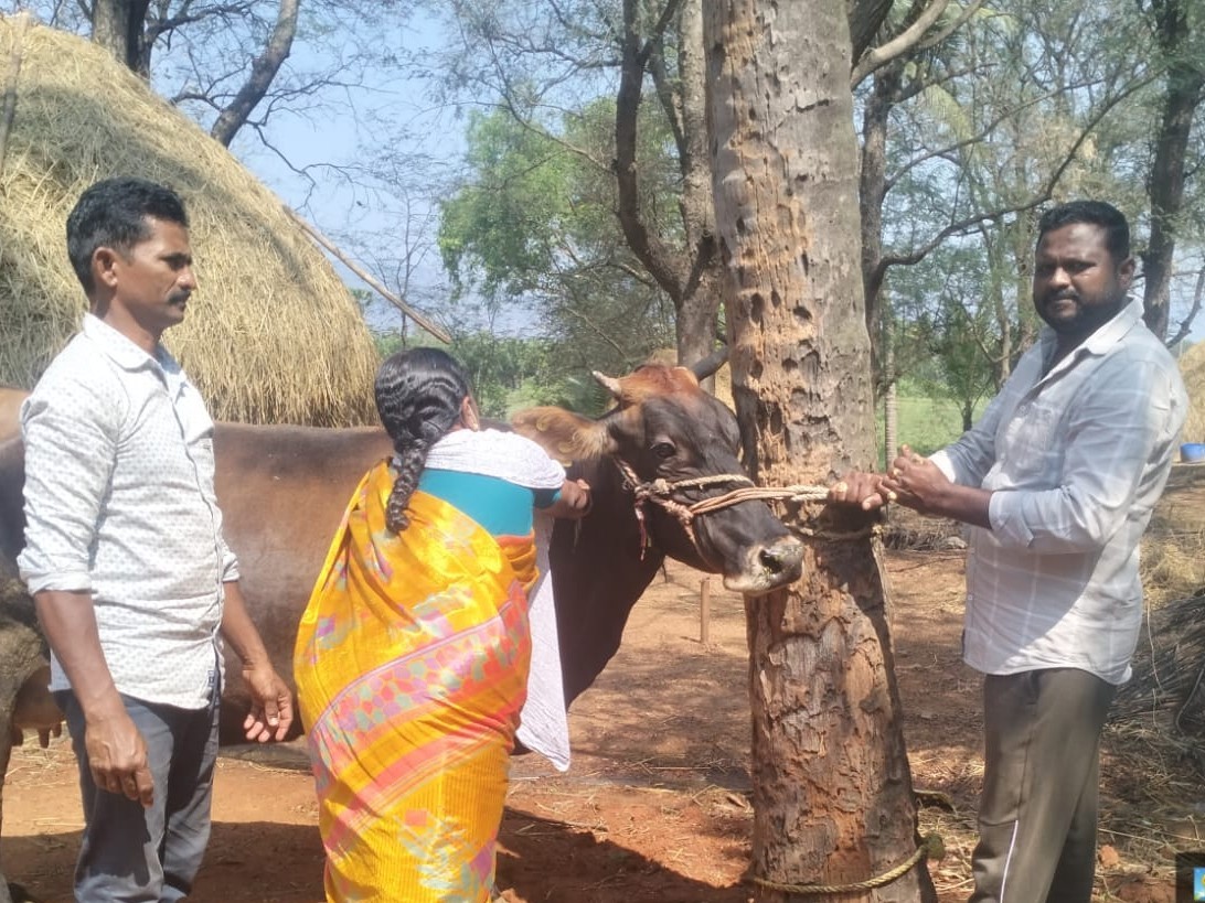 ‘గాలి కుంటు వ్యాధి సాకకుండా టీకాలు వేయించాలి’