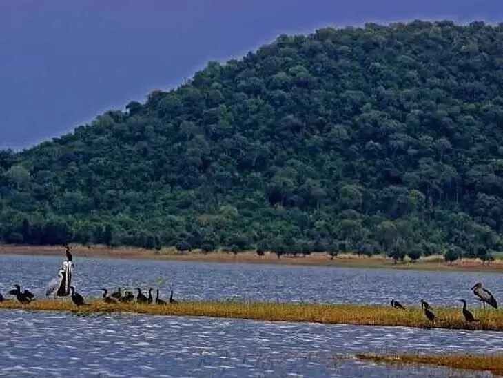 పాకాల సరస్సు ప్రకృతి సోయగాలకు ప్రసిద్ధి