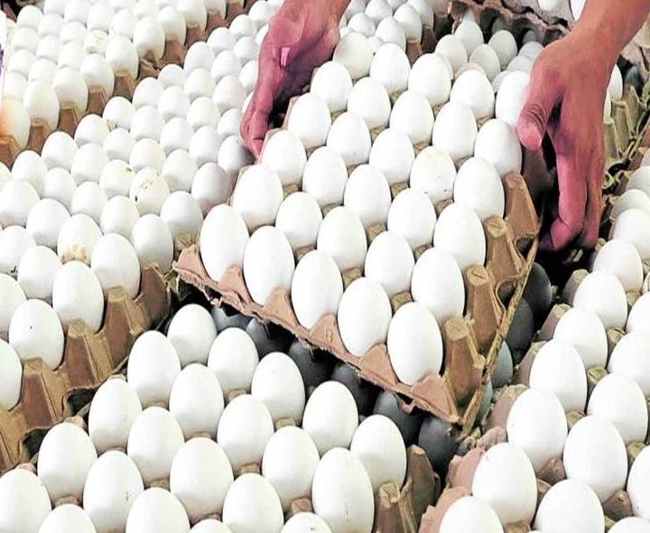 దిగివచ్చిన కోడిగుడ్డు ధర..!