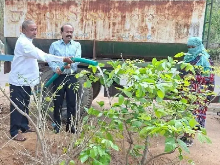 మొక్కలు ఎండిపోకుండా నీరు పట్టిన ఎంపీడీవో