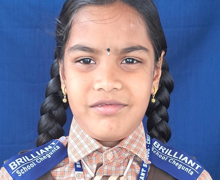 సైనిక్ స్కూల్ ప్రవేశ పరీక్షలో సత్తా చాటిన విద్యార్థి