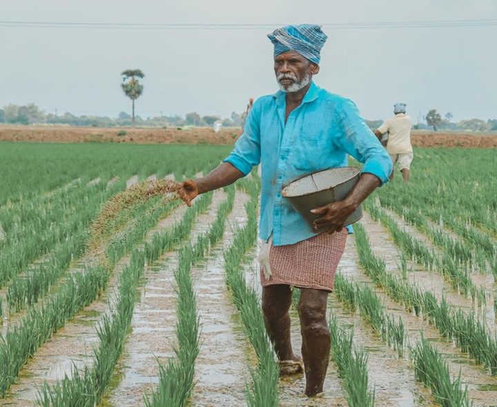 రైతు బీమా పథకాన్ని ఎత్తేస్తారా..?
