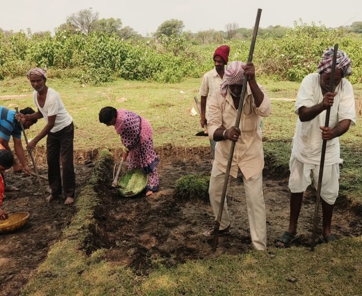 ఉపాధి హామీ  పనులను పరిశీలించిన నాయకులు