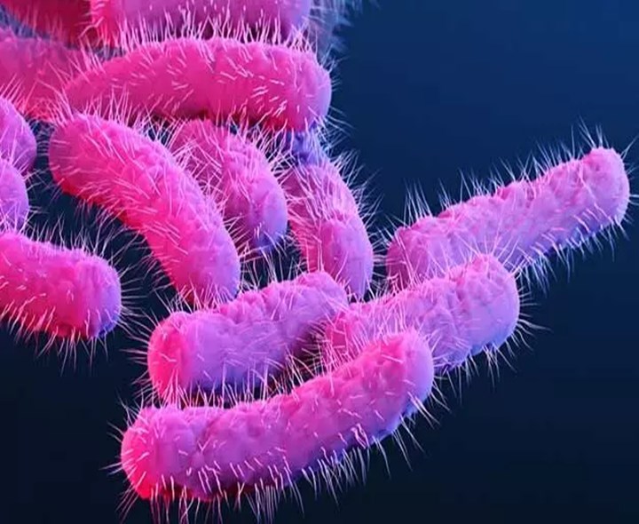 కేరళంలో మరో ప్రాణాంతక వ్యాధి కలకలం