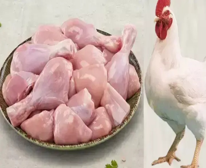 జిల్లాలో నేడు చికెన్ ధర ఎంతంటే ?