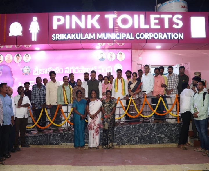మహిళల కోసం పింక్ టాయిలెట్