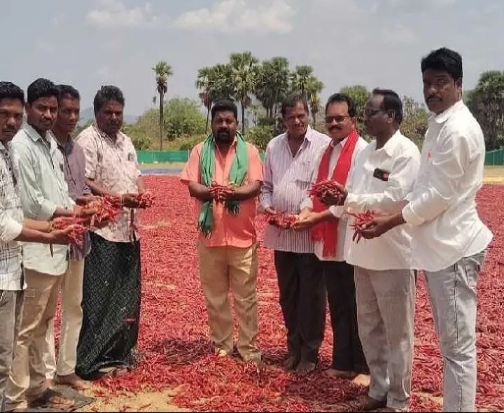 తడసిన పంటలను పరిశీలించిన సీపీఐ బృందం