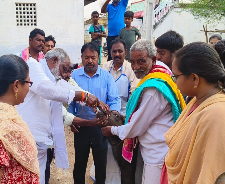 మార్కాపురంలో ఉచిత పశు వైద్య శిబిరం