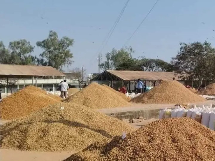 అచ్చంపేట వ్యవసాయ మార్కెట్‌లో నేటి ధరలు