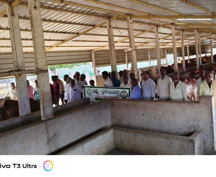 దేశవాళీ ఆవుల ప్రాముఖ్యతపై అవగాహన