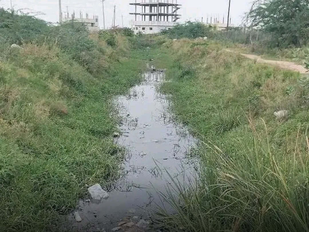 సాగునీరు అందక ఎండిపోతున్న భూములు!