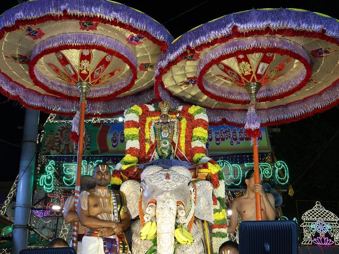 గజవాహన సేవలో భక్తులను మంత్రముగ్ధులను చేసిన రాముడు