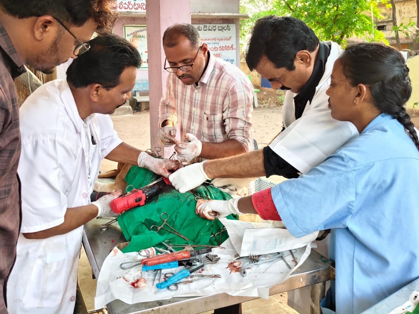 శునకానికి వెన్నెముక సర్జరీ