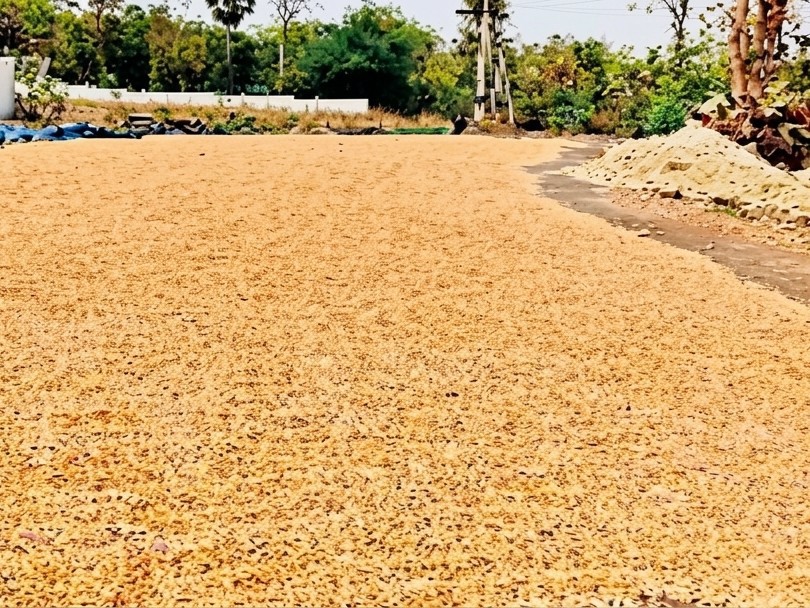 రహదారే కల్లం.. ప్రమాదానికి మూలం..!