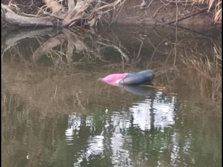 చేపల వేటలో మత్స్యకారుడు మృతి