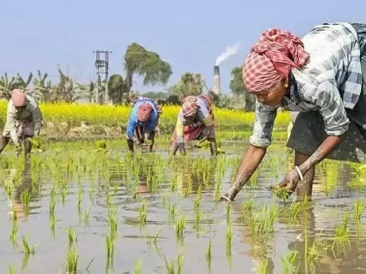 నేడు రైతు ఖాతాల్లోకి రైతు భరోసా నిధులు
