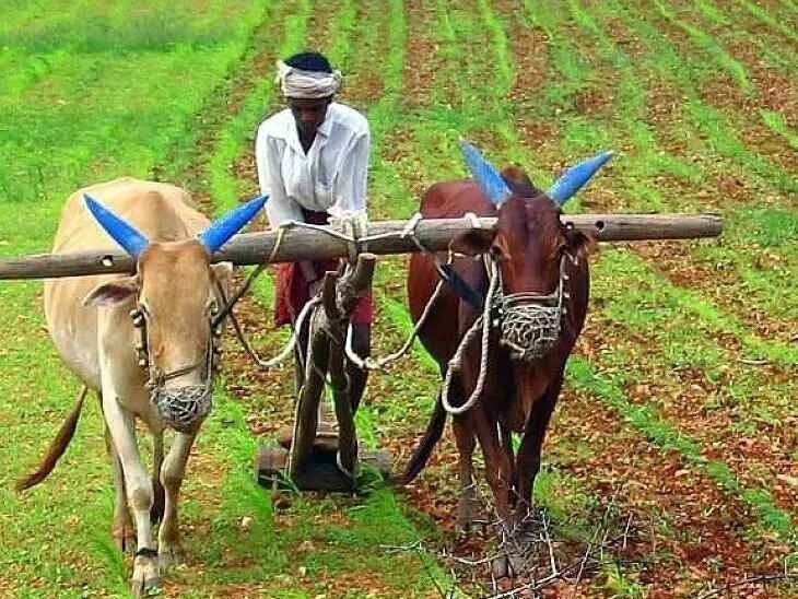 ఉమ్మడి జిల్లాకు  రూ.  444 కోట్ల రైతు భరోసా నిధులు