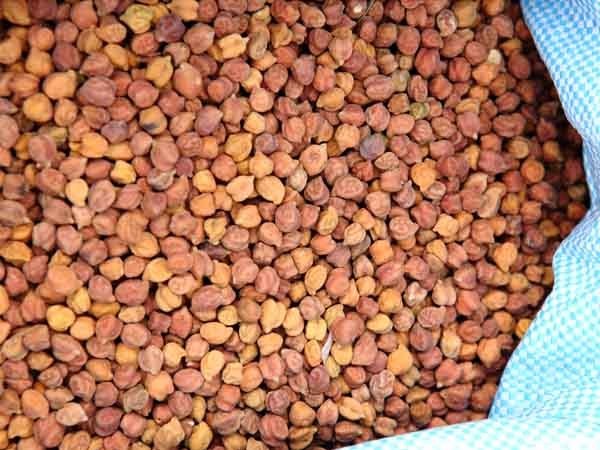 మార్క్ ఫెడ్ కొన్నది గోరంత.. కొనాల్సిందికొండంత.!