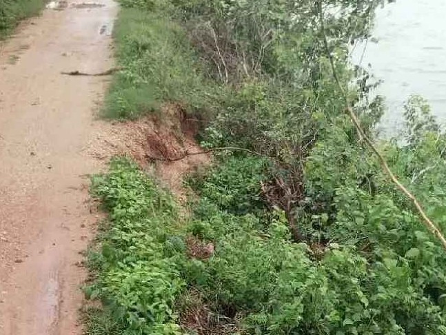 తెగిపోవడానికి సిద్ధంగా వాయిల సింగారం చెరువు కట్ట!