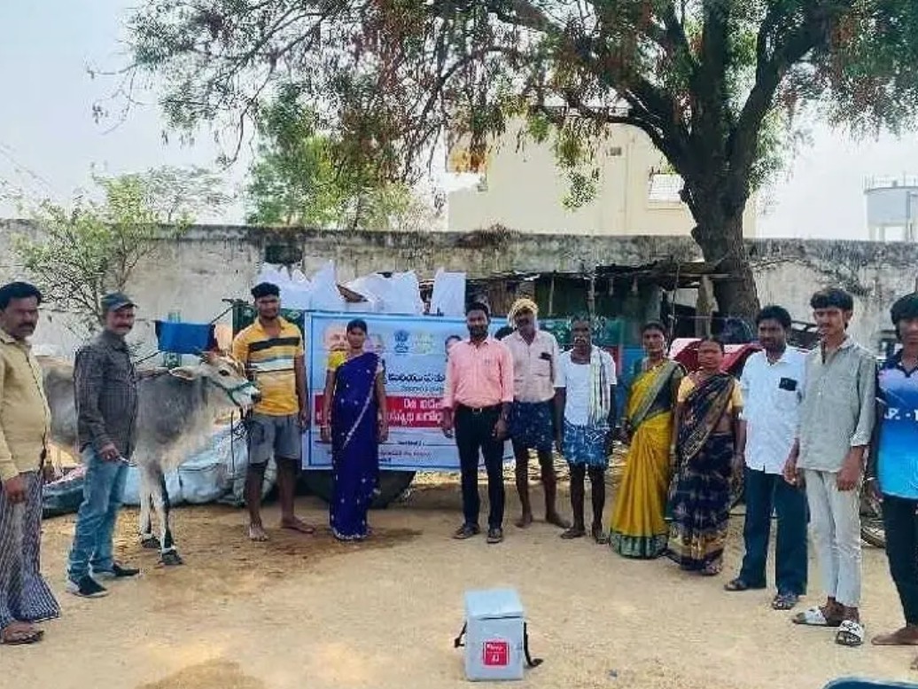 ‘పశువులకు గాలికుంటు నివారణ టీకాలు’