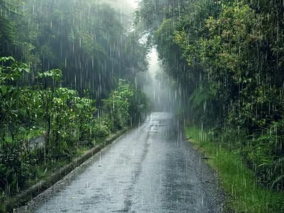 జిల్లాలో మరో రెండు రోజులు వర్షాలు