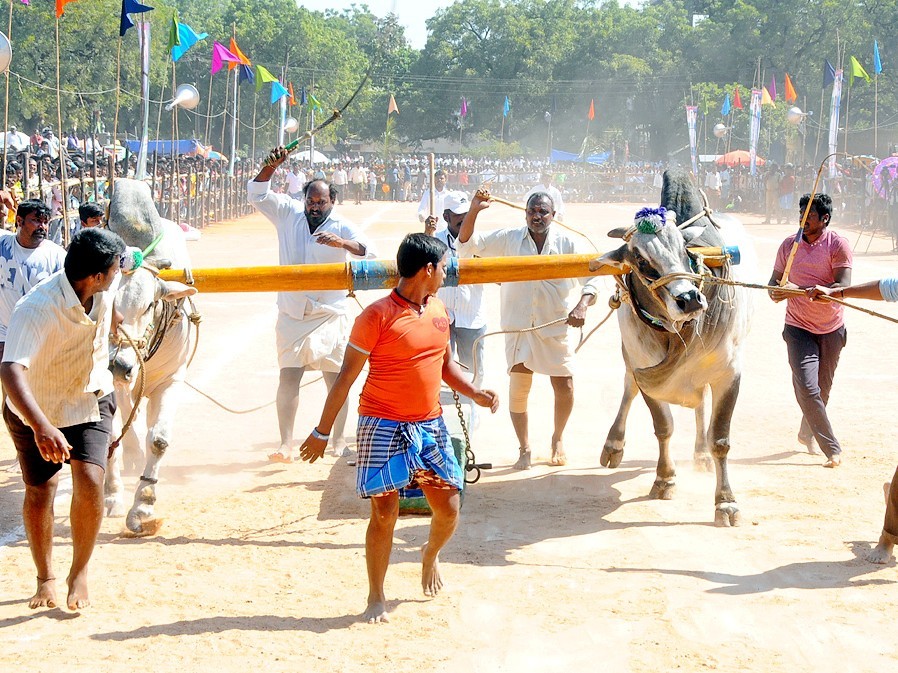 ఏప్రిల్ 3న బండలాగుడు పోటీలు