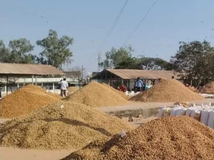 వ్యవసాయ మార్కెట్‌లో నేటి ధరలు