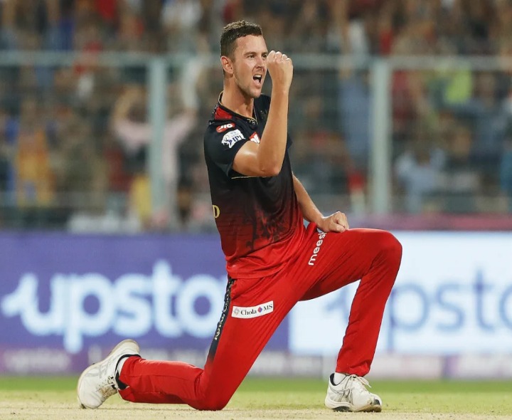 హేజెల్‌వుడ్ రీప్లేస్‌మెంట్ అసాధ్యం: DK