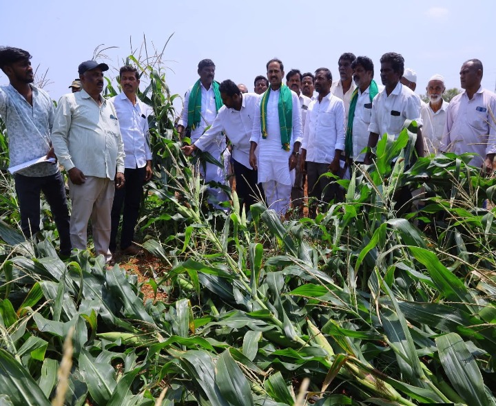 అకాల వర్షపు బాధితులకు ఎమ్మెల్యే భరోసా