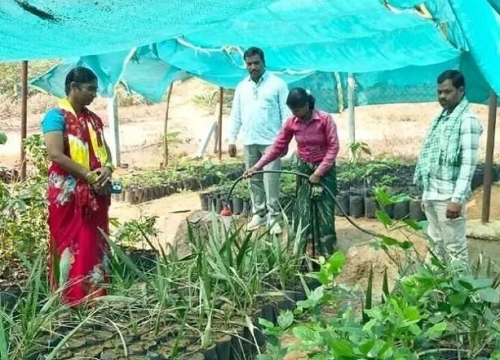 నేరేళ్లపల్లి నర్సరీని పరిశీలించిన ఏపీవో