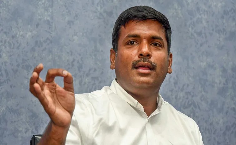 మిట్టల్ కంపెనీ రావడానికి  కారణం YCP: అమర్నాథ్