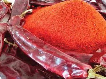 వరంగల్‌లో కల్తీకారం పట్టివేత..!