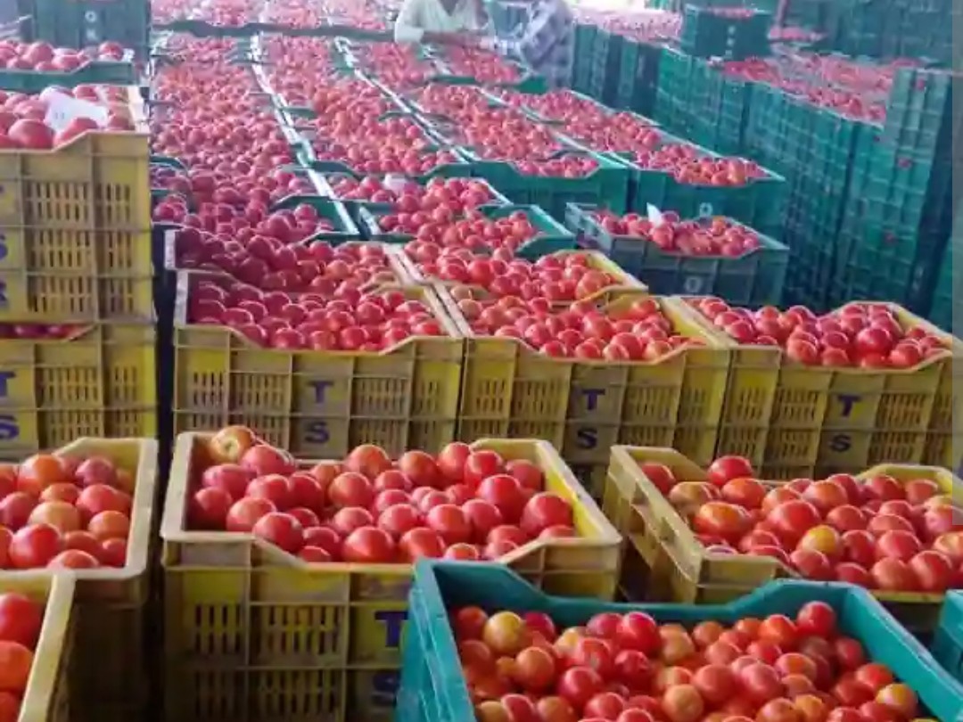 జిల్లాలో టమాటా ధరల వివరాలు