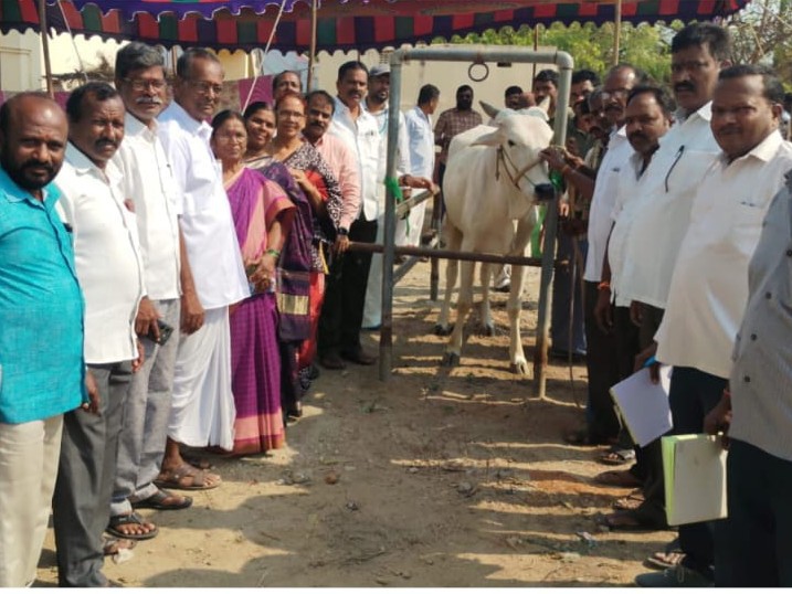 మార్కెట్ కమిటీ ఆధ్వర్యంలో ఉచిత పశు వైద్య శిబిరం