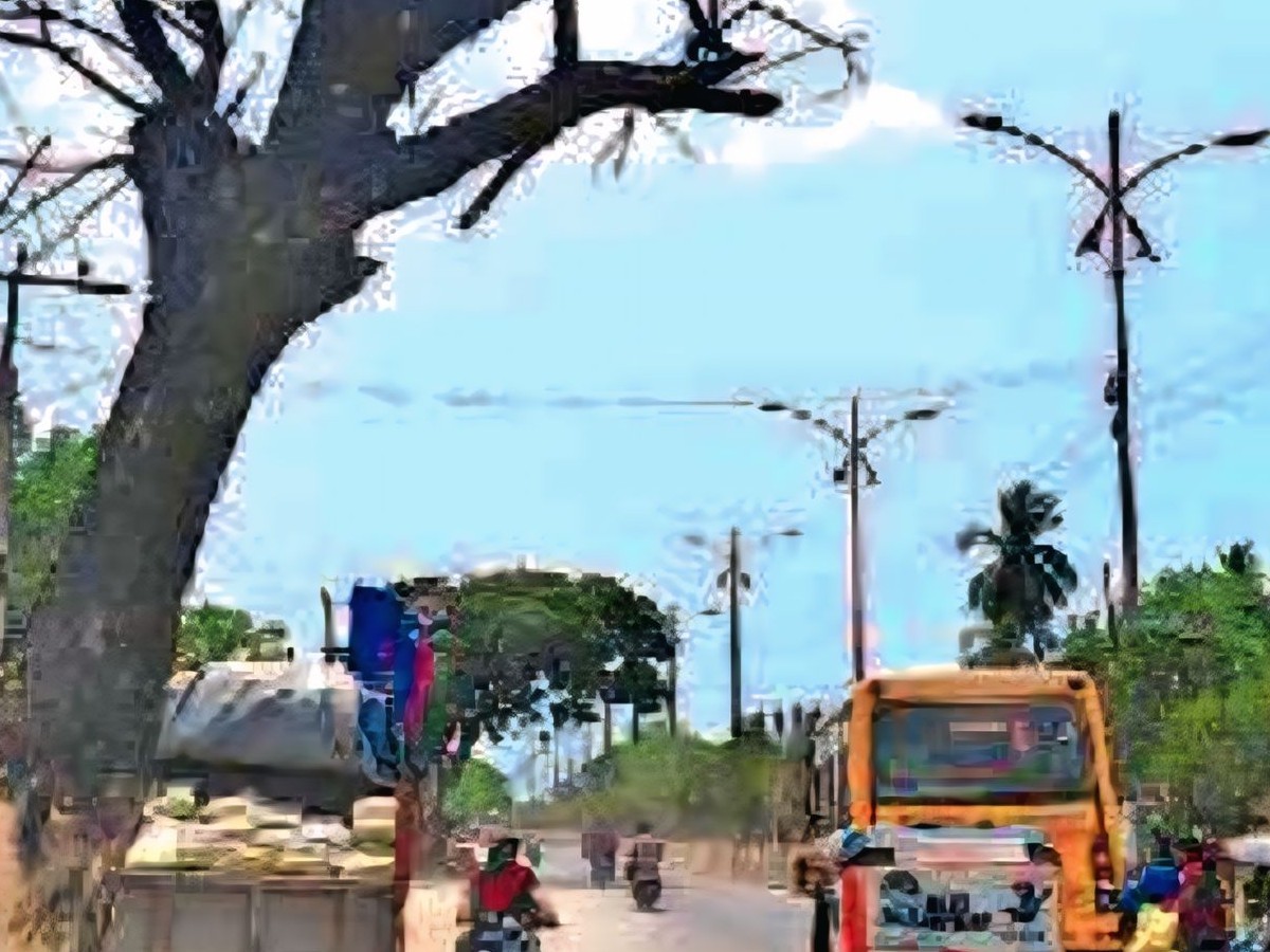 ప్రమాదకరంగా ఎండిన చెట్టు.. భయం గుప్పిట్లో ప్రజలు