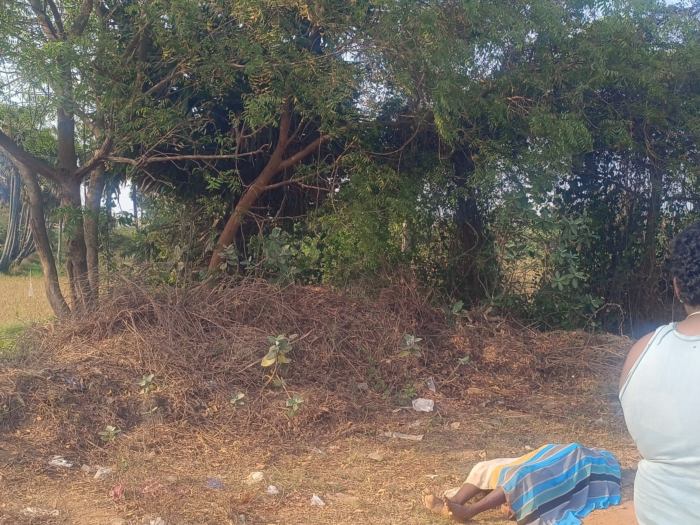 ఉరేసుకుని మహిళ ఆత్మహత్య