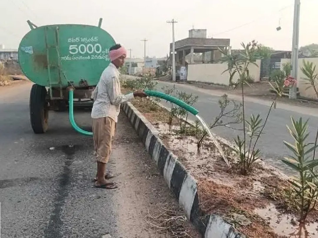 వేసవికాలంలో పచ్చదనాన్ని కాపాడాలి: ఎంపీడీవో