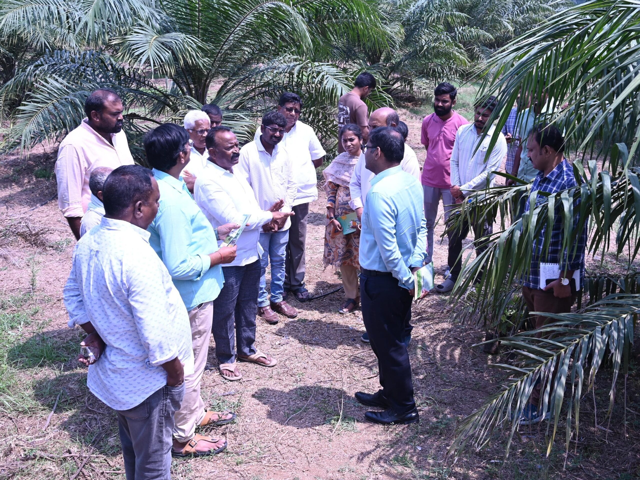 ‘ఆయిల్ ఫామ్ విస్తరణకు చర్యలు’: కలెక్టర్