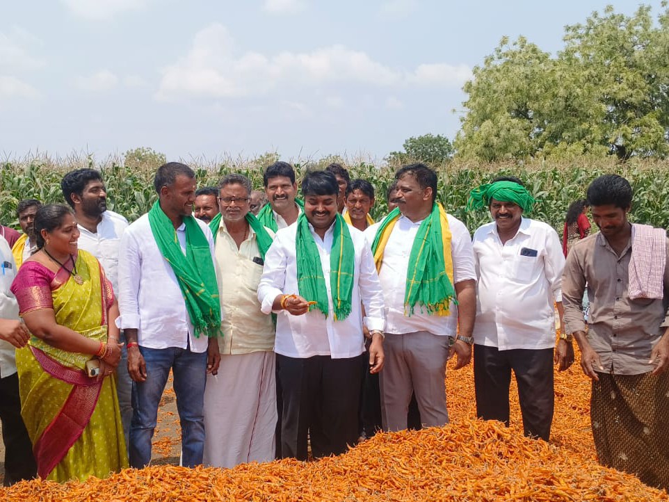 తడిచిన మిర్చిని పరిశీలించిన ఎమ్మెల్యే