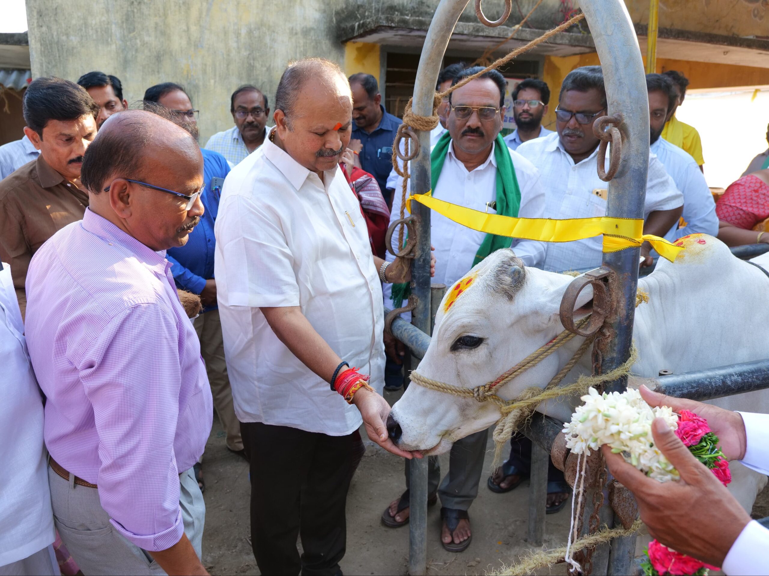 ఉచిత గాలికుంటు వ్యాధి నివారణ టీకాల పంపిణీ
