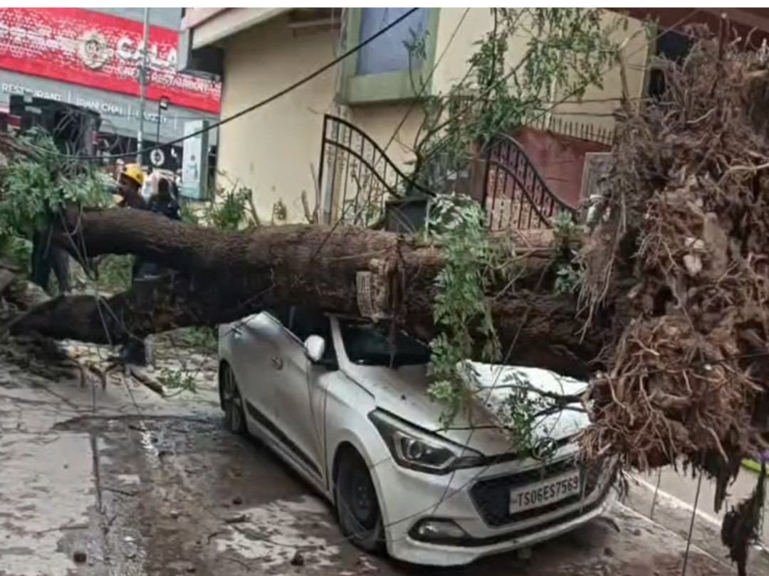 చెట్టు కూలి కారు ధ్వంసం