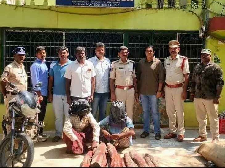 ఇద్దరు ఎర్రచందనం స్మగ్లర్ల అరెస్ట్