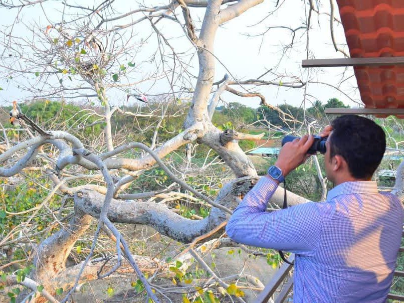 విదేశీ పక్షుల సంరక్షణకు పటిష్ట చర్యలు: కలెక్టర్