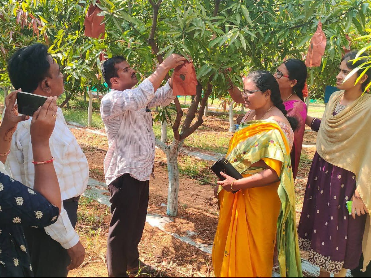 ఆధునిక మామిడి సాగుపై రైతులకు అవగాహన