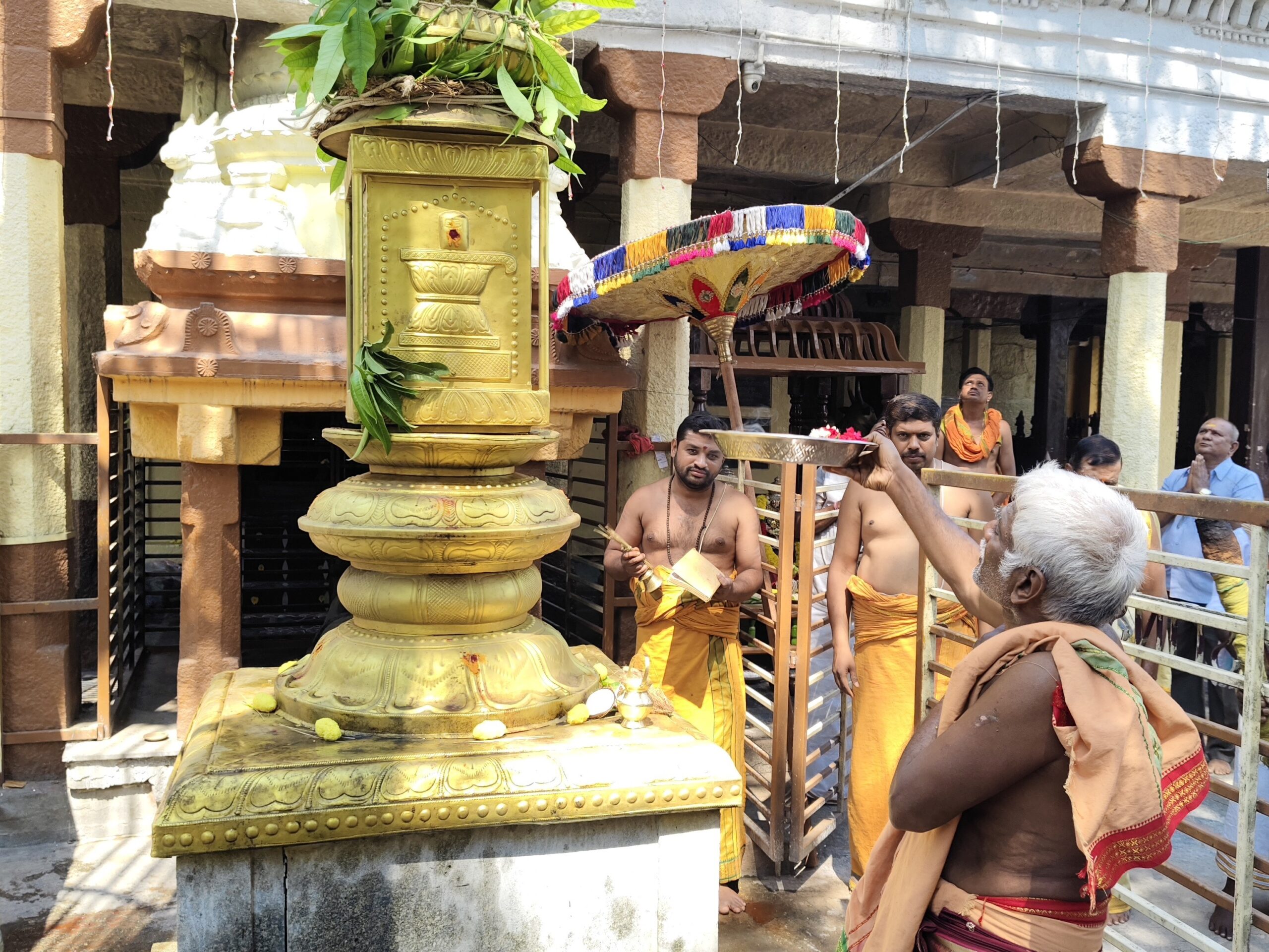 శైవాగమోక్తంగా ధ్వజారోహణం నిర్వహించిన వేద పండితులు