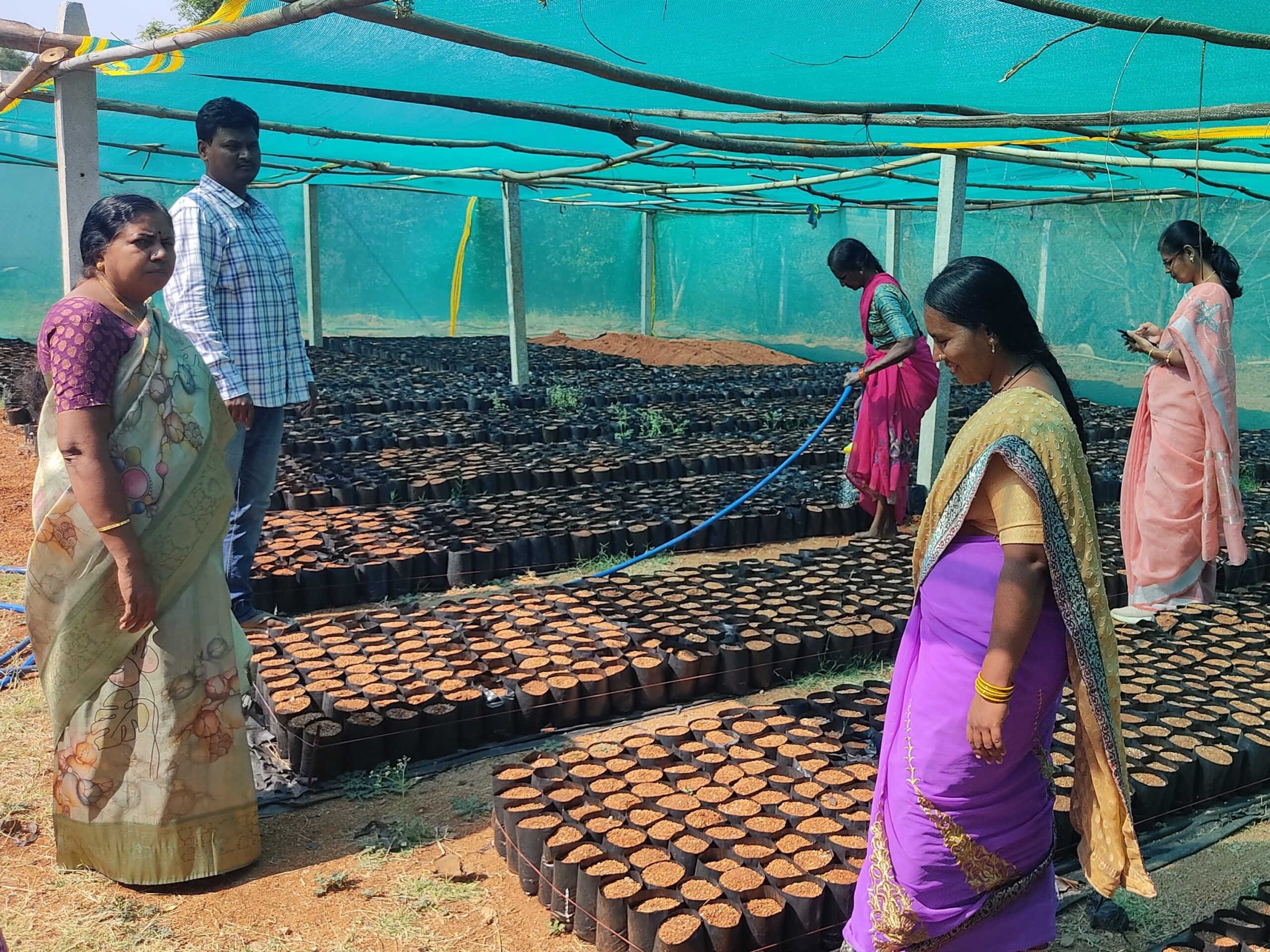 నర్సరీని సందర్శించిన ఎంపీడీవో గీతాంజలి
