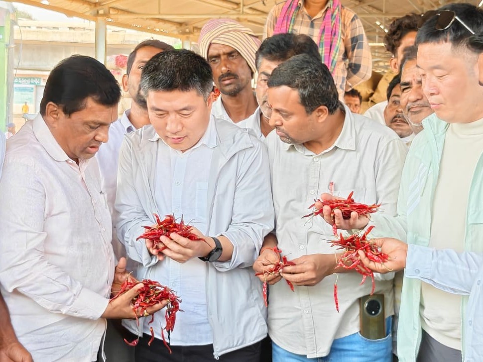 మార్కెట్‌లో మిర్చి పరిశీలించిన చైనా వ్యాపారులు