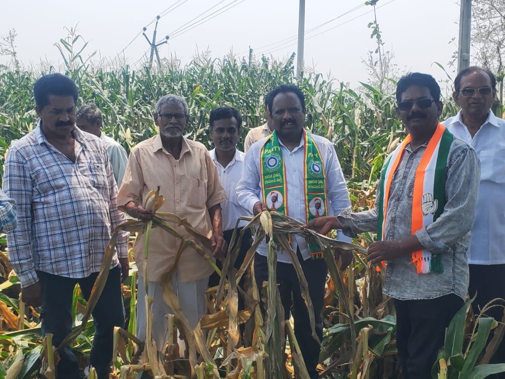 ‘నష్ట పోయిన రైతులను ఆదుకోవాలి’