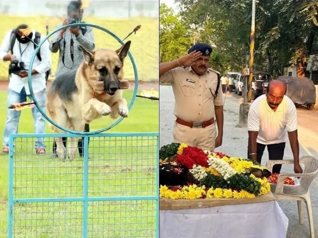 క్యాన్సర్‌తో తిరుపతి పోలీస్ డాగ్ మృతి