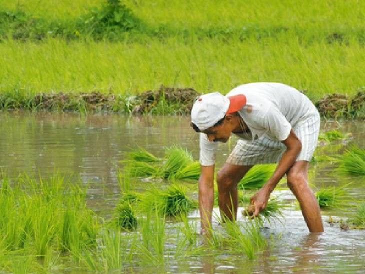 సన్న వడ్ల బోనస్ బకాయిలపై రైతుల ఆందోళన